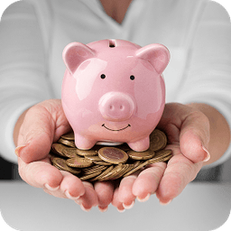 Proteger mis ahorros con algo más seguro que un banco.